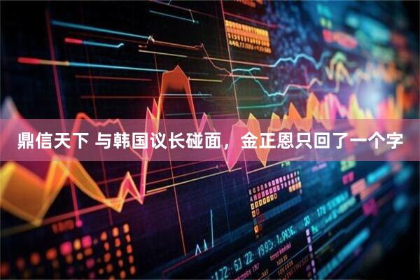 鼎信天下 与韩国议长碰面，金正恩只回了一个字