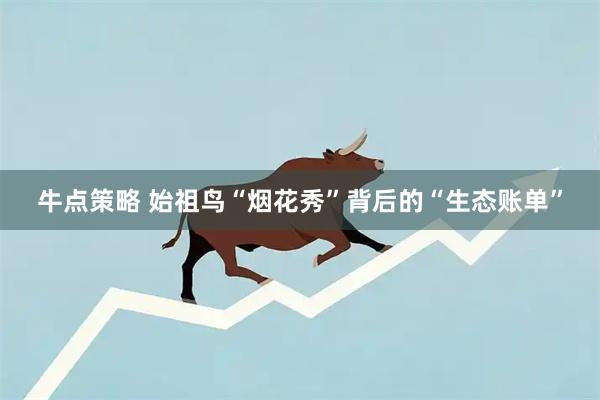 牛点策略 始祖鸟“烟花秀”背后的“生态账单”