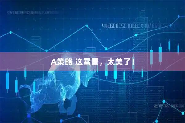 A策略 这雪景，太美了！