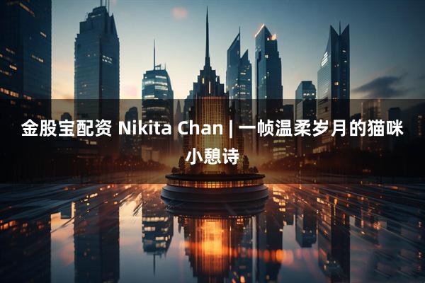 金股宝配资 Nikita Chan | 一帧温柔岁月的猫咪小憩诗