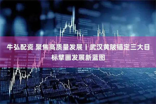 牛弘配资 聚焦高质量发展丨武汉黄陂锚定三大目标擘画发展新蓝图