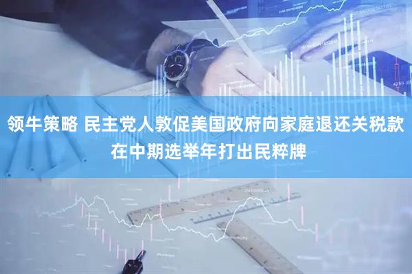 领牛策略 民主党人敦促美国政府向家庭退还关税款 在中期选举年打出民粹牌