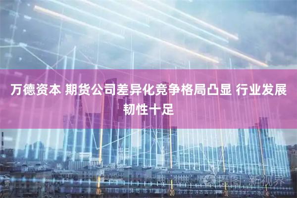 万德资本 期货公司差异化竞争格局凸显 行业发展韧性十足